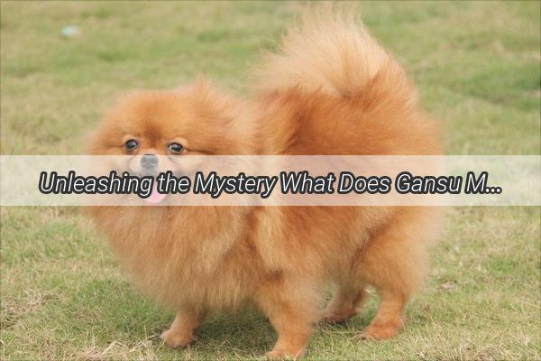 Unleashing the Mystery What Does Gansu Mean for Dogs A Heartwarming Journey Unveiled